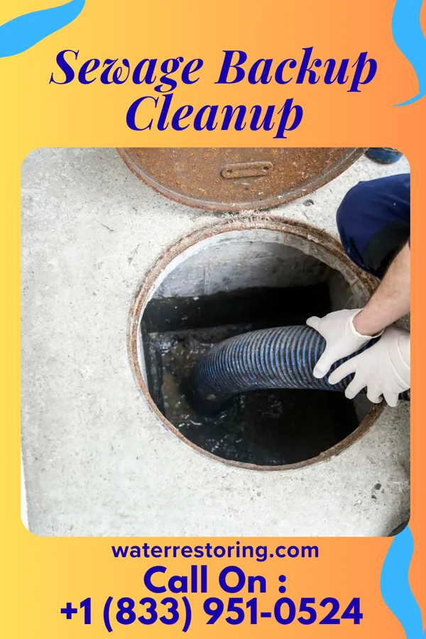 Sewage Backup Cleanup in Lebanon, MO